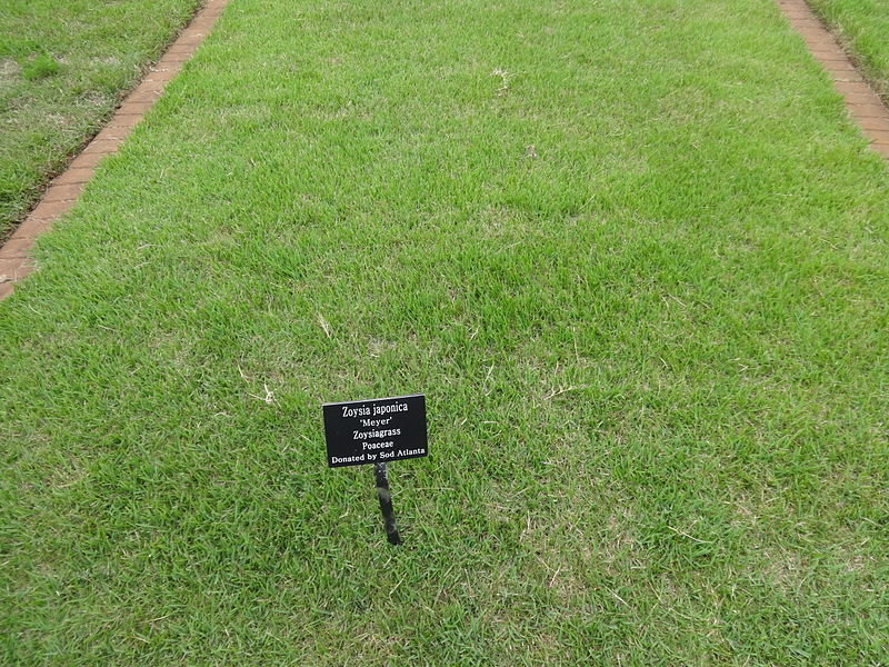 Kontraktor Jasa Pembuatan Lapangan Sepak Bola