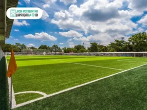 analisa bisnis lapangan mini soccer