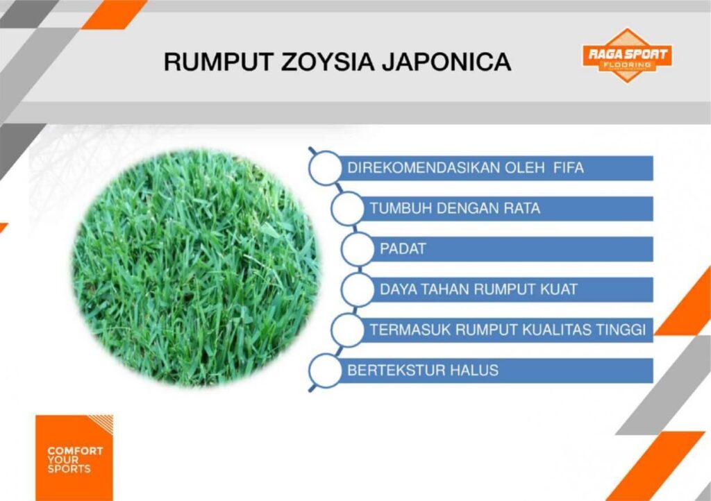 rumput lapangan sepak bola