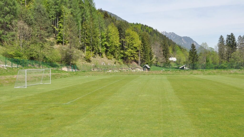 membuat motif rumput lapangan sepak bola