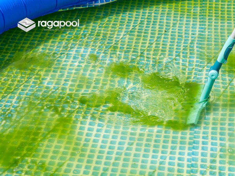 jasa pembersihan kolam renang di serpong