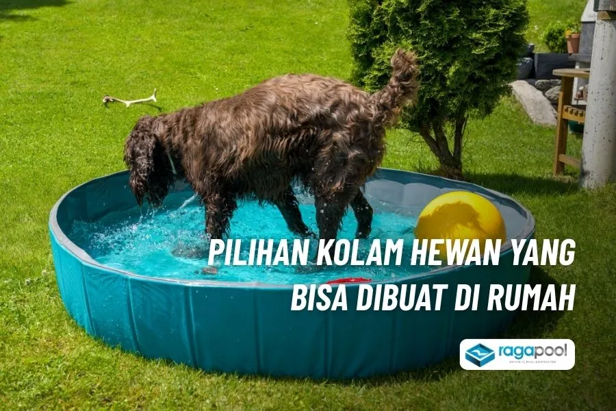 Ingin Buat Kolam Renang Hewan Peliharaan, Ini Solusinya 2 inspirasi kolam hewan di rumah