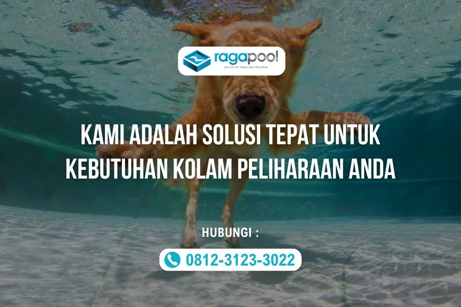 Ingin Buat Kolam Renang Hewan Peliharaan, Ini Solusinya 5 jasa pembuatan kolam renang hewan