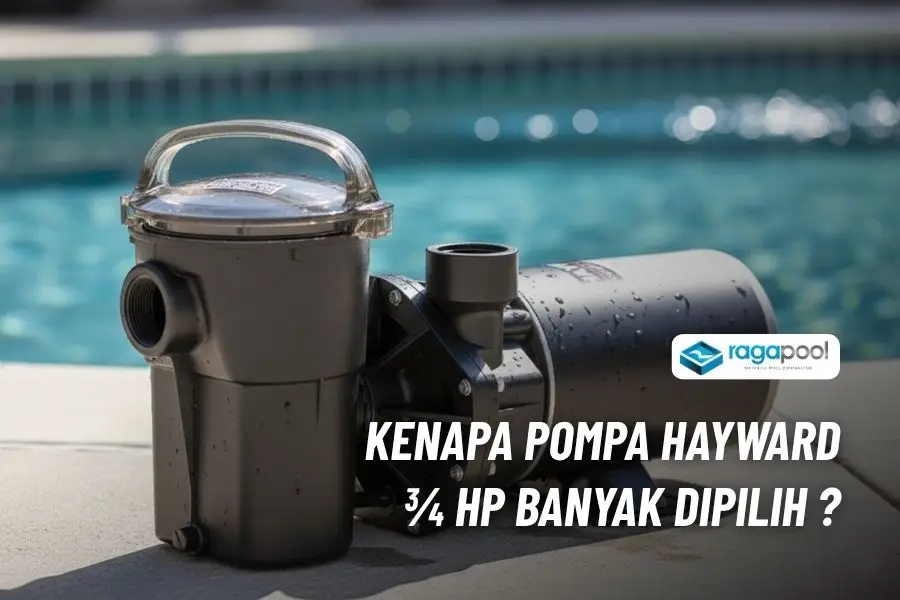 Pompa Kolam Renang Hayward 3/4 HP Harga Hemat Daya Kuat 1 jual pompa kolam renang hayward 34 hp